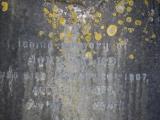 image of grave number 963465